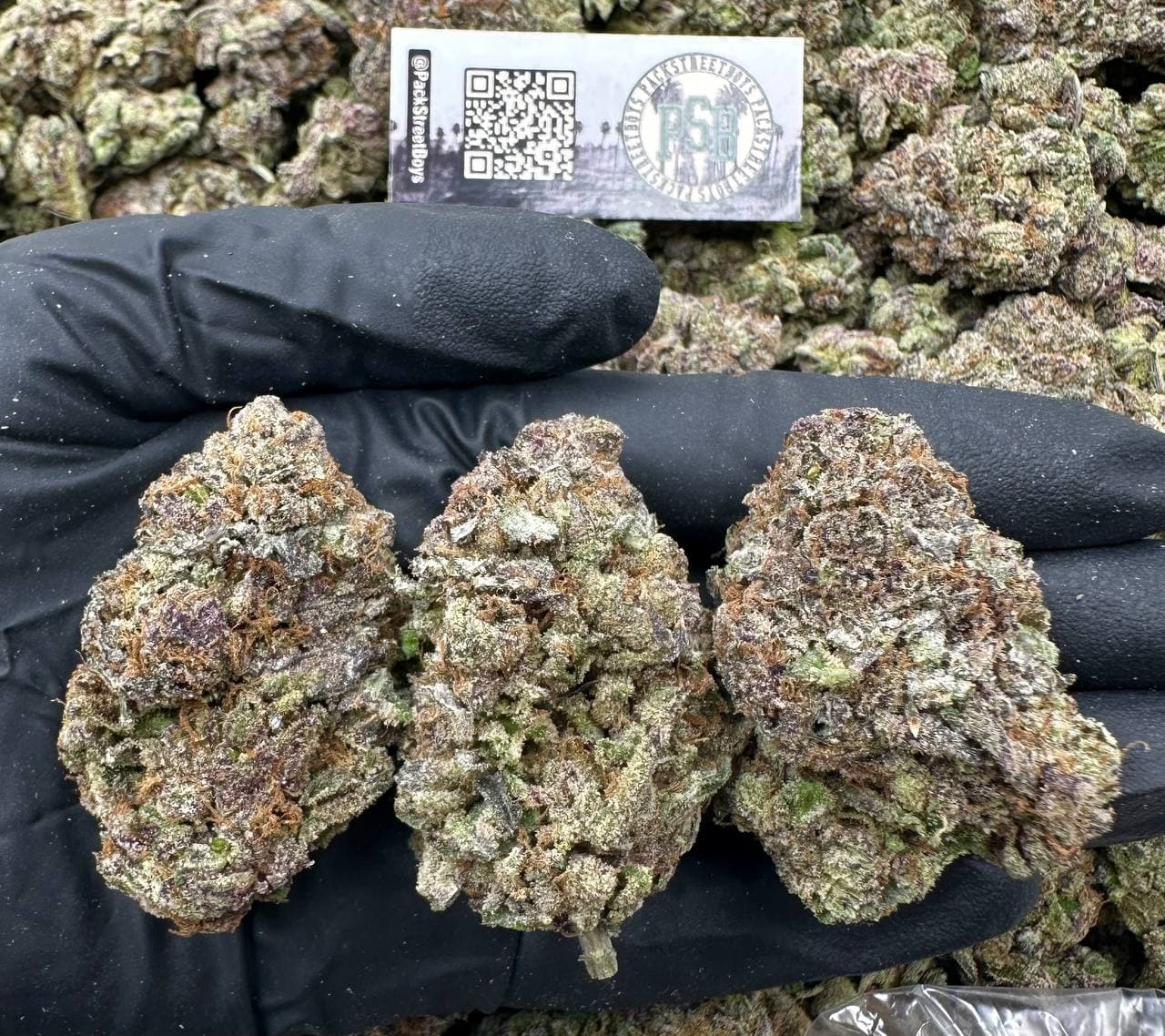 PURPLE PRESSUE