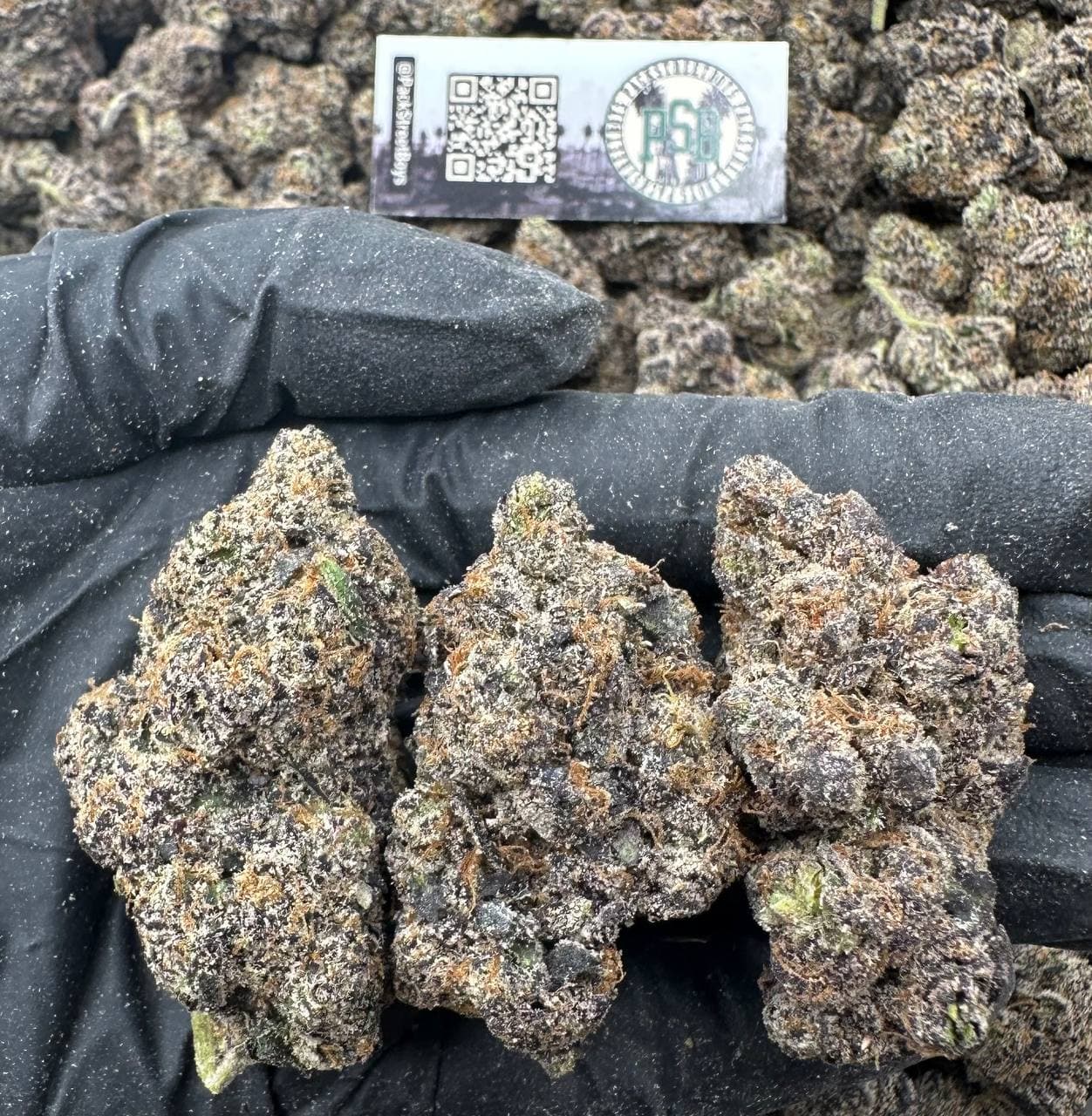 PURPLE SHERB