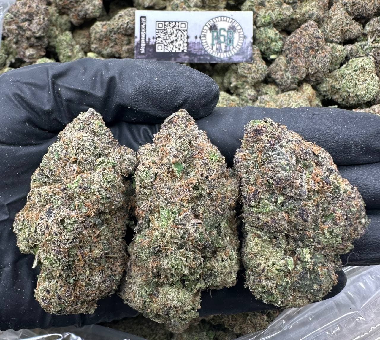 SOUR SNEAKY